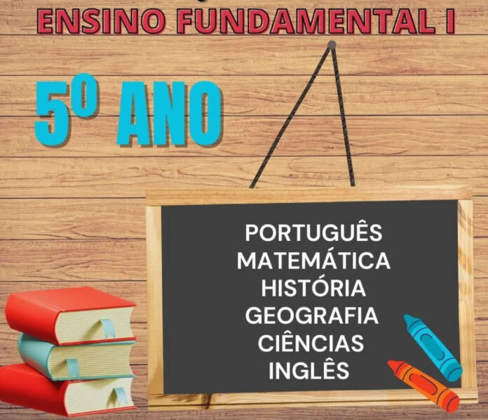 5º Ano do Ensino Fundamental I, A Jornada da Aprendizagem Alça Voo para Novos Horizontes